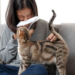 Дәрігерлерге мысық көрсетеді